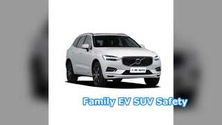 Carro familiar híbrido leve 48v EV SUV