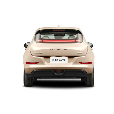 Gato 105KW de Ora do Grande Muralha dos carros 150km/h da senhora Mini EV bom
