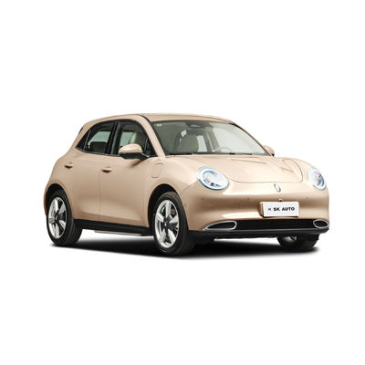 Gato 105KW de Ora do Grande Muralha dos carros 150km/h da senhora Mini EV bom