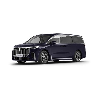 Carros elétricos de assentamento luxuosos do carro MPV 4WD de Ev dos assentos do sonhador 7 de Voyah para a família ou o negócio