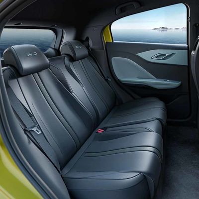 5 lugares BYD EV Carro Economização de energia com etc. Características interiores Energia limpa Carro elétrico Galinha-do-mar