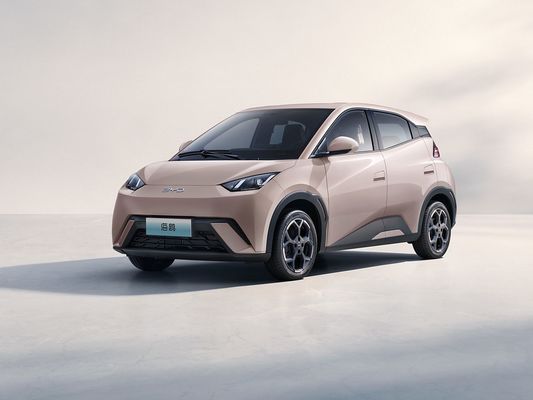 2025 Novo Modelo BYD Gaivão Carregamento Rápido Veículo Elétrico Venda Quente Mini EV Longo Alcance e Bateria Grande 405KM