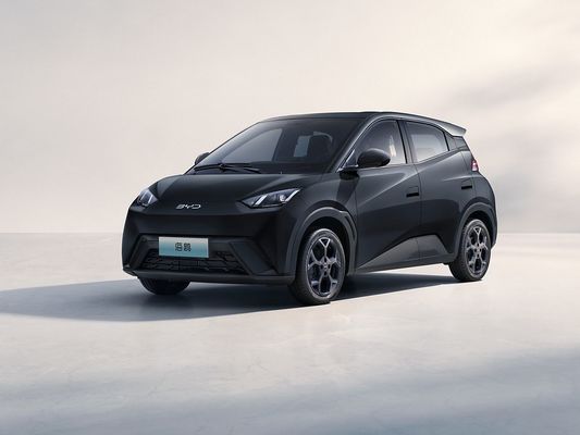 2025 Novo Modelo BYD Gaivão Carregamento Rápido Veículo Elétrico Venda Quente Mini EV Longo Alcance e Bateria Grande 405KM