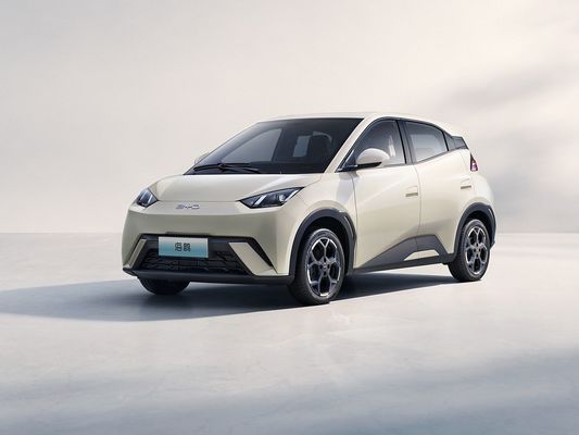 2025 Novo Modelo BYD Gaivão Carregamento Rápido Veículo Elétrico Venda Quente Mini EV Longo Alcance e Bateria Grande 405KM