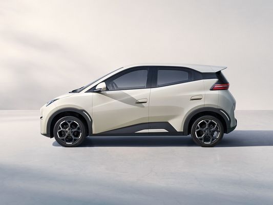2025 Novo Modelo BYD Gaivão Carregamento Rápido Veículo Elétrico Venda Quente Mini EV Longo Alcance e Bateria Grande 405KM