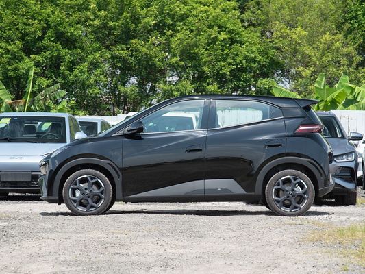 BYD Novo Modelo Gaivão Elétrico Mini EV Carros de Carregamento Rápido 2025 Veículo Pequeno Largo Alcance