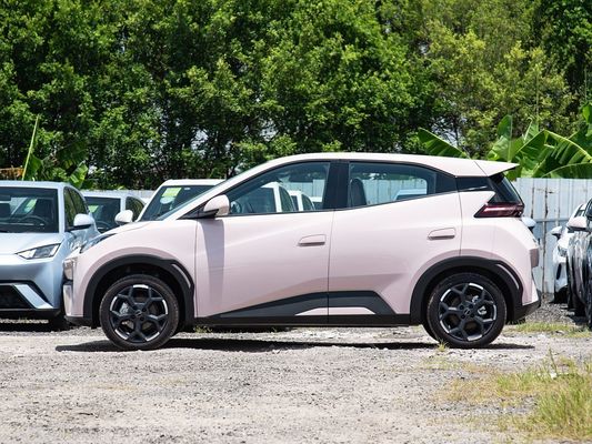 BYD Novo Modelo Gaivão Elétrico Mini EV Carros de Carregamento Rápido 2025 Veículo Pequeno Largo Alcance