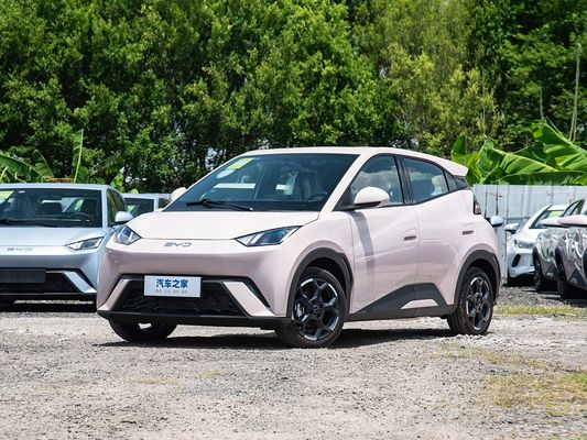 BYD Novo Modelo Gaivão Elétrico Mini EV Carros de Carregamento Rápido 2025 Veículo Pequeno Largo Alcance