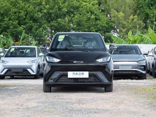 BYD Novo Modelo Gaivão Elétrico Mini EV Carros de Carregamento Rápido 2025 Veículo Pequeno Largo Alcance