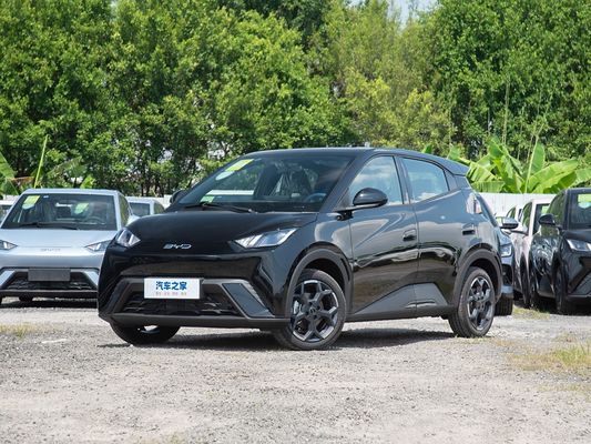 BYD Novo Modelo Gaivão Elétrico Mini EV Carros de Carregamento Rápido 2025 Veículo Pequeno Largo Alcance